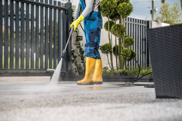 Fence Pressure Washing